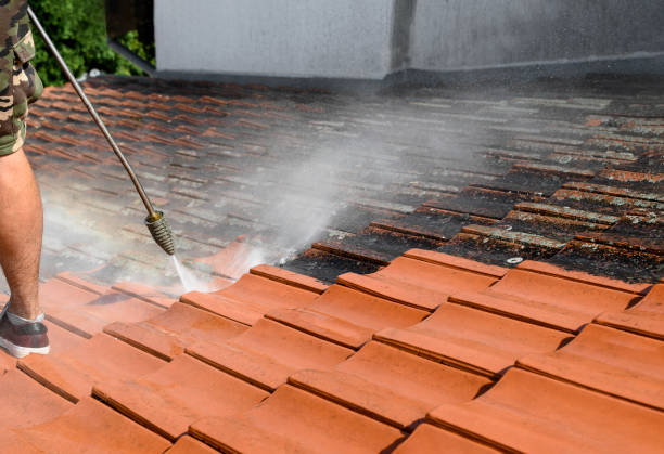 Best Deck Cleaning Services  in Wildwood, FL