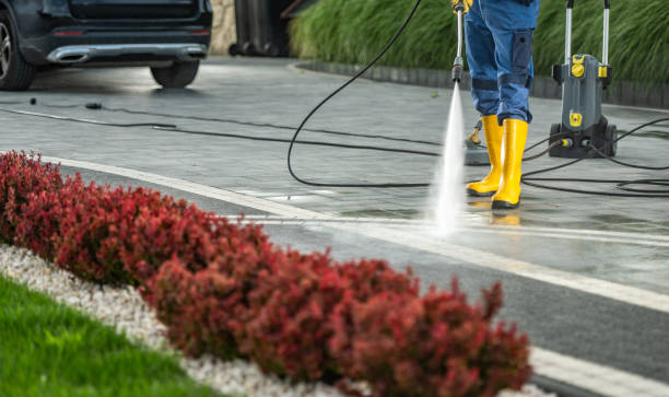 Best Affordable Power Washing  in Wildwood, FL