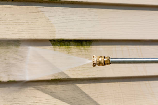 Best Pressure Washing Estimates  in Wildwood, FL