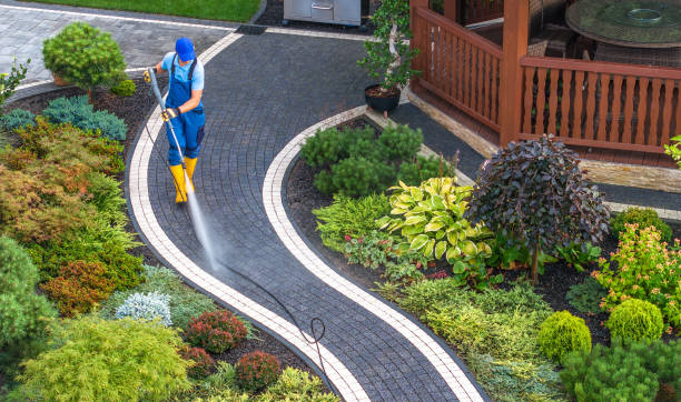 Best Pressure Washing Company Near Me  in Wildwood, FL