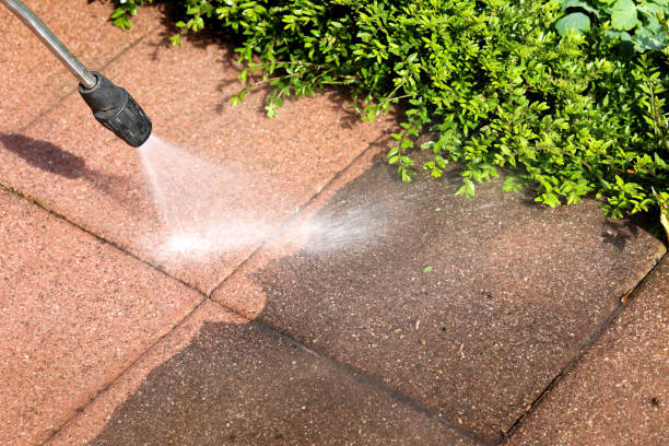 Best Sidewalk Pressure Washing  in Wildwood, FL